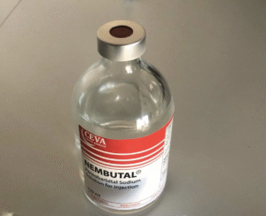 Buy Nembutal online
